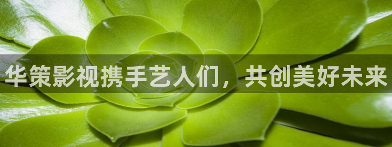 精东影业东北：华策影视携手艺人们，共创美好未来