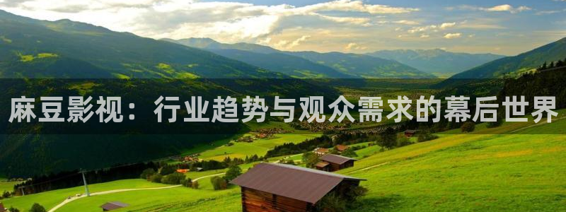 精东影业观看：麻豆影视：行业趋势与观众需求的幕后世界