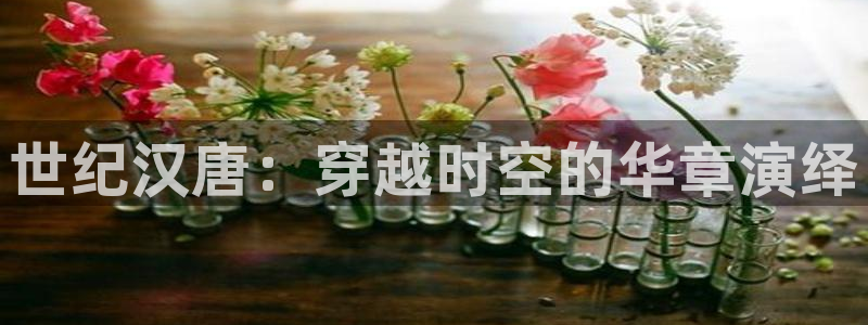 精东影业毛片免费：世纪汉唐：穿越时空的华章演绎