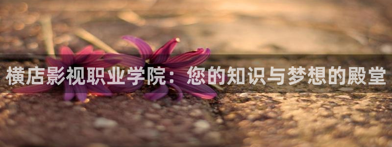 精东影业传媒公司：横店影视职业学院：您的知识与梦想的殿堂