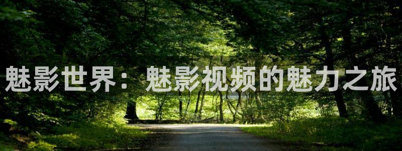精东影业免费：魅影世界：魅影视频的魅力之旅