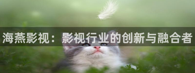 精东影业网：海燕影视：影视行业的创新与融合者
