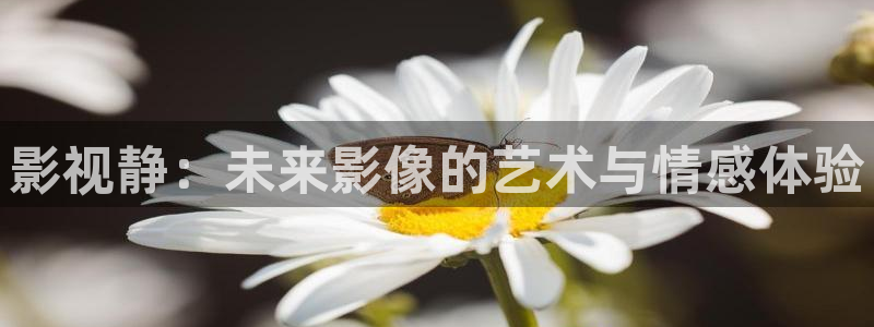 精东影业精东传媒在线：影视静：未来影像的艺术与情感体验