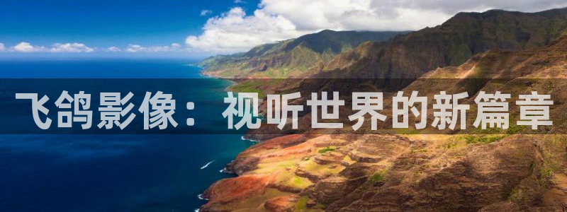 精东影业app传媒最新2022：飞鸽影像：视听世界的新篇章